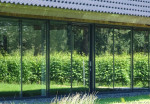 Tappenmars wijngaard